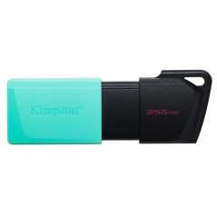 Kingston - Exodia M Memoria USB 256GB - USB 3.2 Gen 1 - Capucha móvil - Enganche para Llavero - Color Negro
