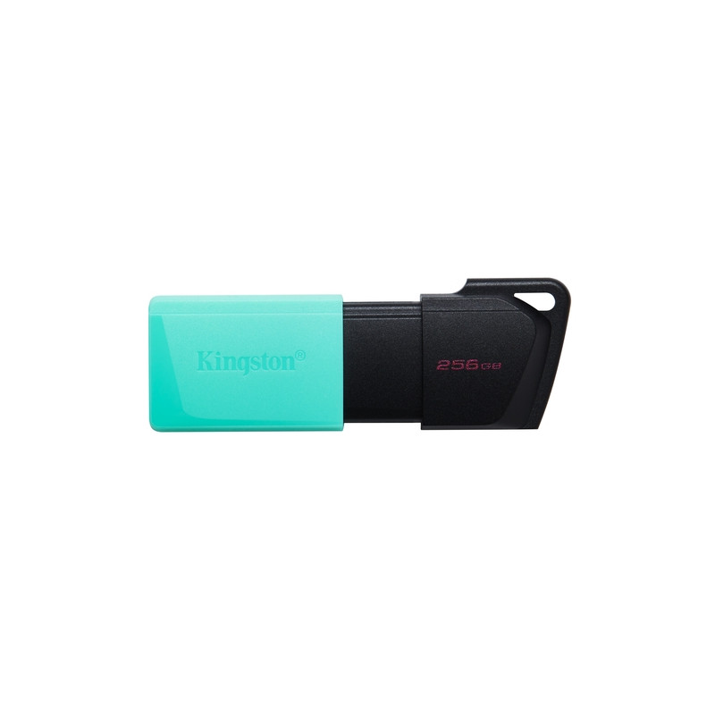 Kingston - Exodia M Memoria USB 256GB - USB 3.2 Gen 1 - Capucha móvil - Enganche para Llavero - Color Negro